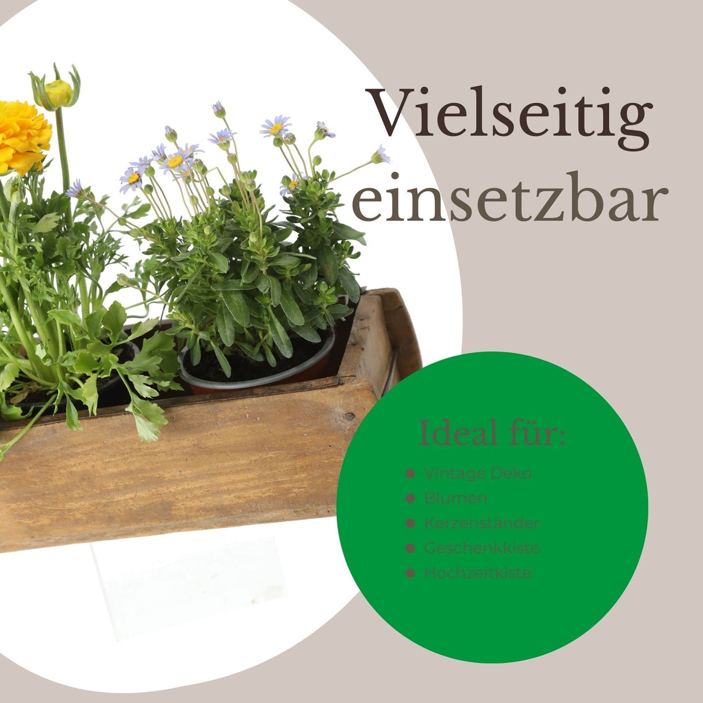 Novaliv 3x Holzkiste Vintage 30 x 15 x 10 cm Alte Ziegelform Holz EIN KAMMER Allzweckkiste aus recyceltem Altholz Jede Form EIN Unikat - Geschenkkiste